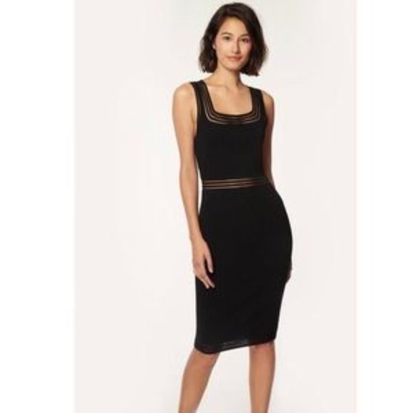 Milly Transparent Stripe Dress Size Petite - Picture 12 of 13